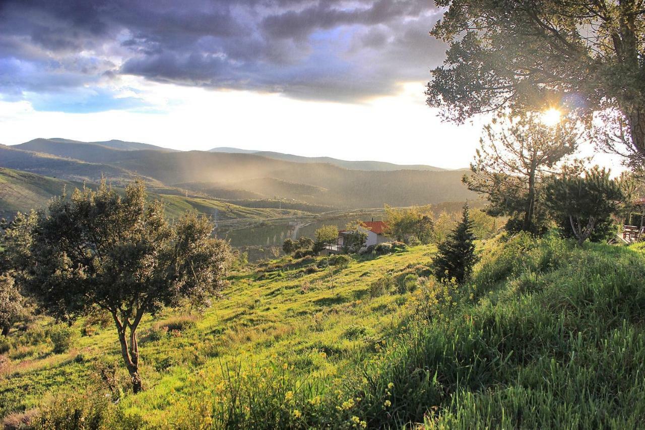 Cielo Abierto Daire Berzocana Dış mekan fotoğraf