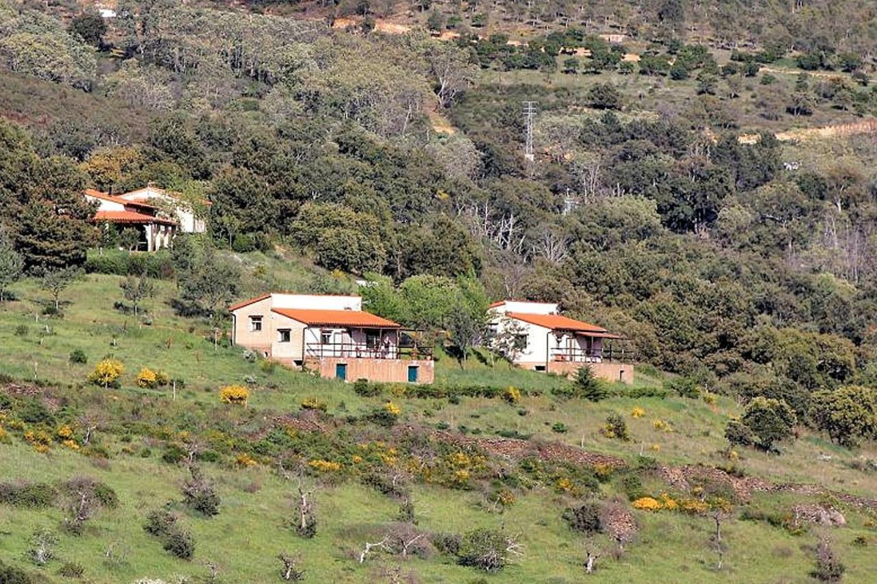 Cielo Abierto Daire Berzocana Dış mekan fotoğraf